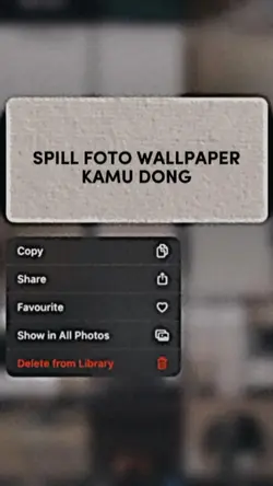 SPILLWALPAPERMU