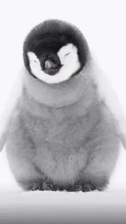 歌詞付きテンプレート