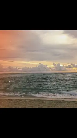 A Rocket to the Moon