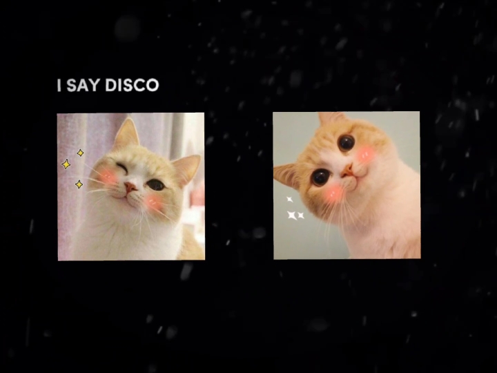 I say Disco you say 