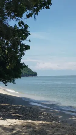 small vlog