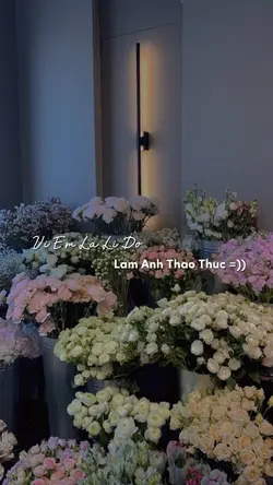 Mẫu Beat 2 Ảnh