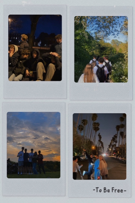 [Polaroid>]