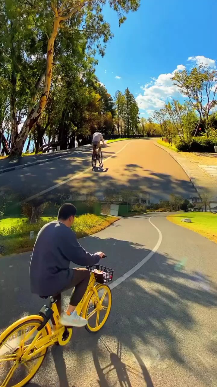 2 videos 
