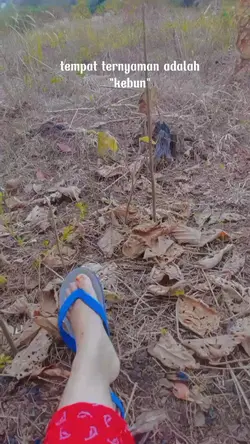 kebun