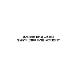 갤러리에서