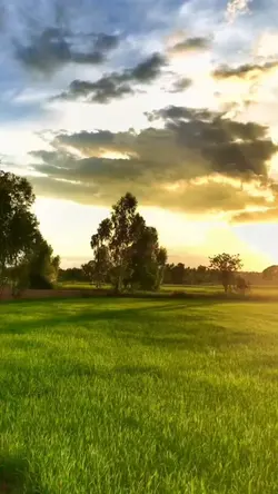 นะหน้าทอง บรรยากาศ