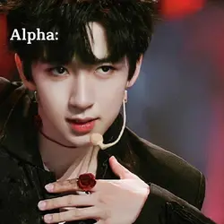 Alpha x enigma 