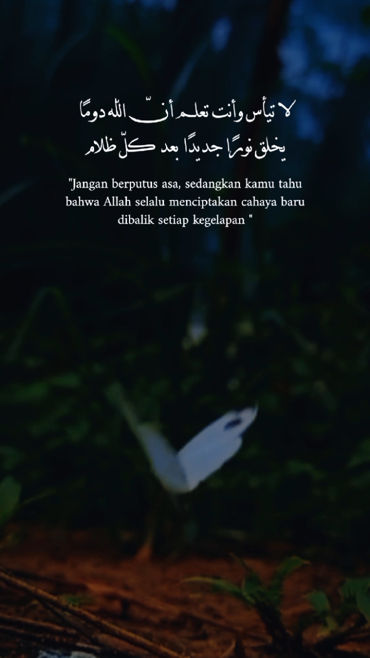 Arapça alıntılar