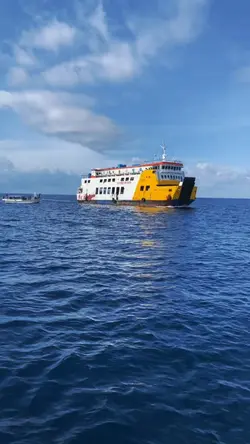 Ini sa pu jantung