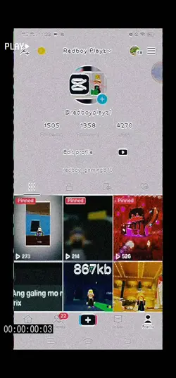 deleting TikTok