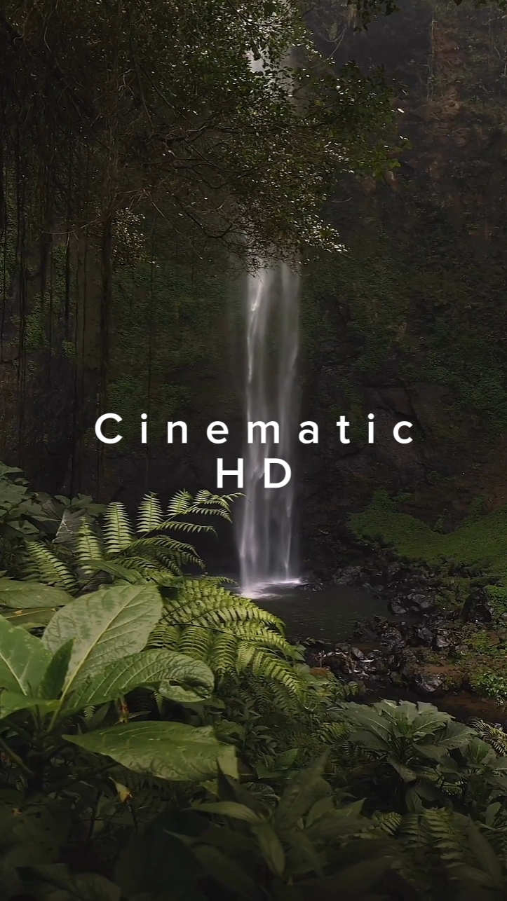 Timeline Cinematic