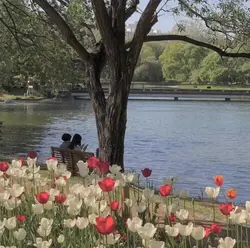 photo dump aesthetic