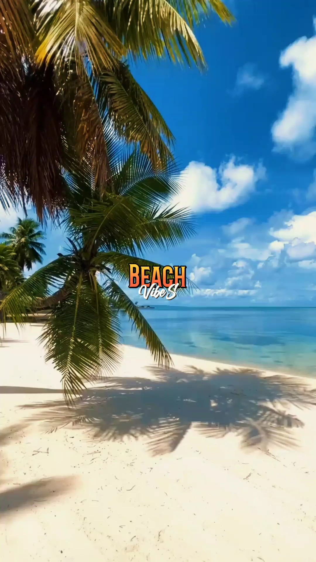 Vibrações De Praia
