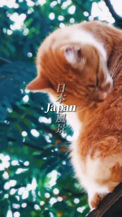 美しい景色を動画に！！クリップ数は14