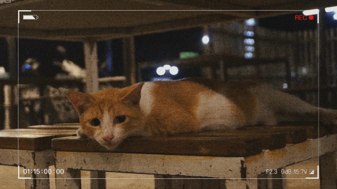 Video Çerçeve Aestheti