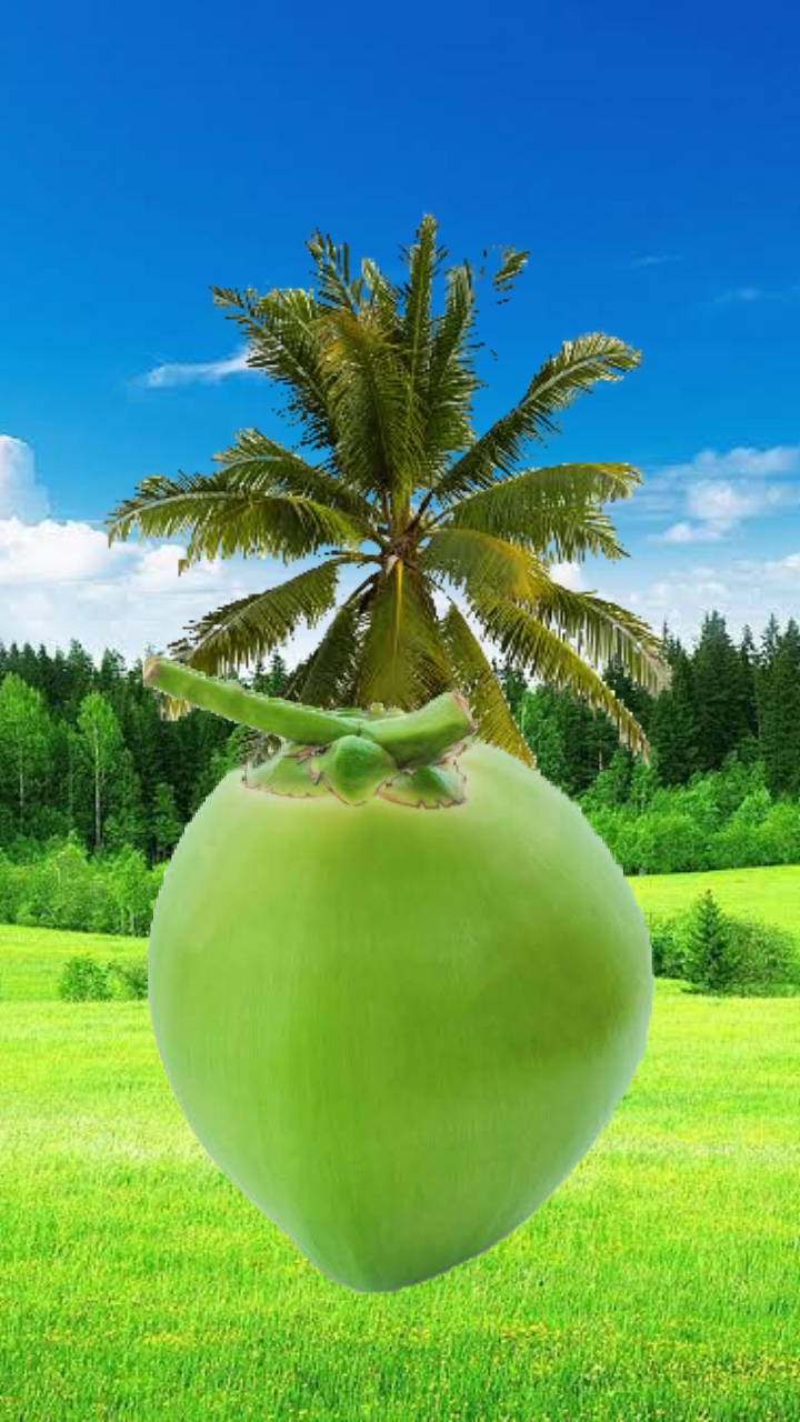 Noix de coco