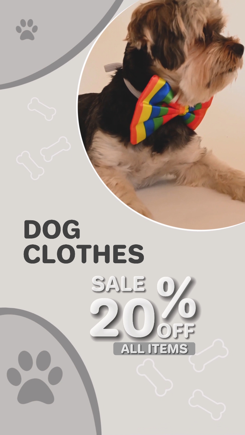 Promoção de roupas para animais de estimação