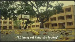 Mẫu về mái trường