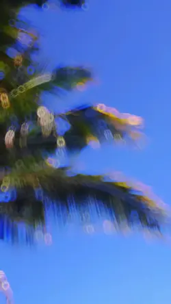 Cinematic Danza