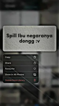 SPILL IBU NEGARANYA