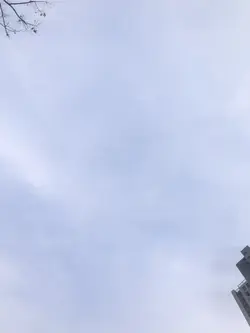 고댓