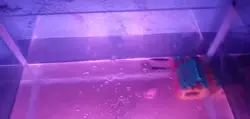 vloq mini ikan