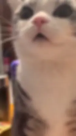 เธอมีเขาฉันก็ต้องไป