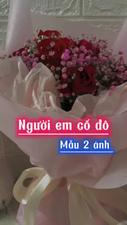 Người Em Cố Đô 