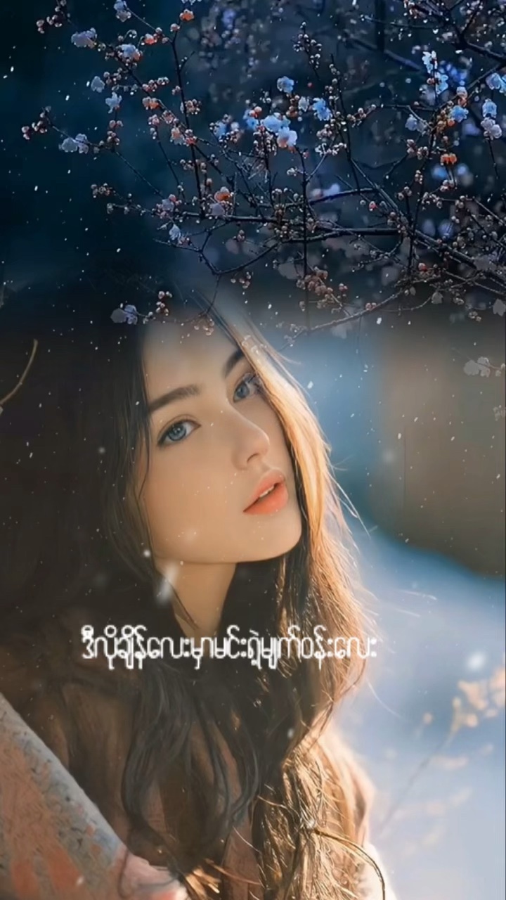 မြေစာပင်