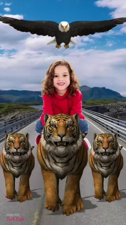 naik macan