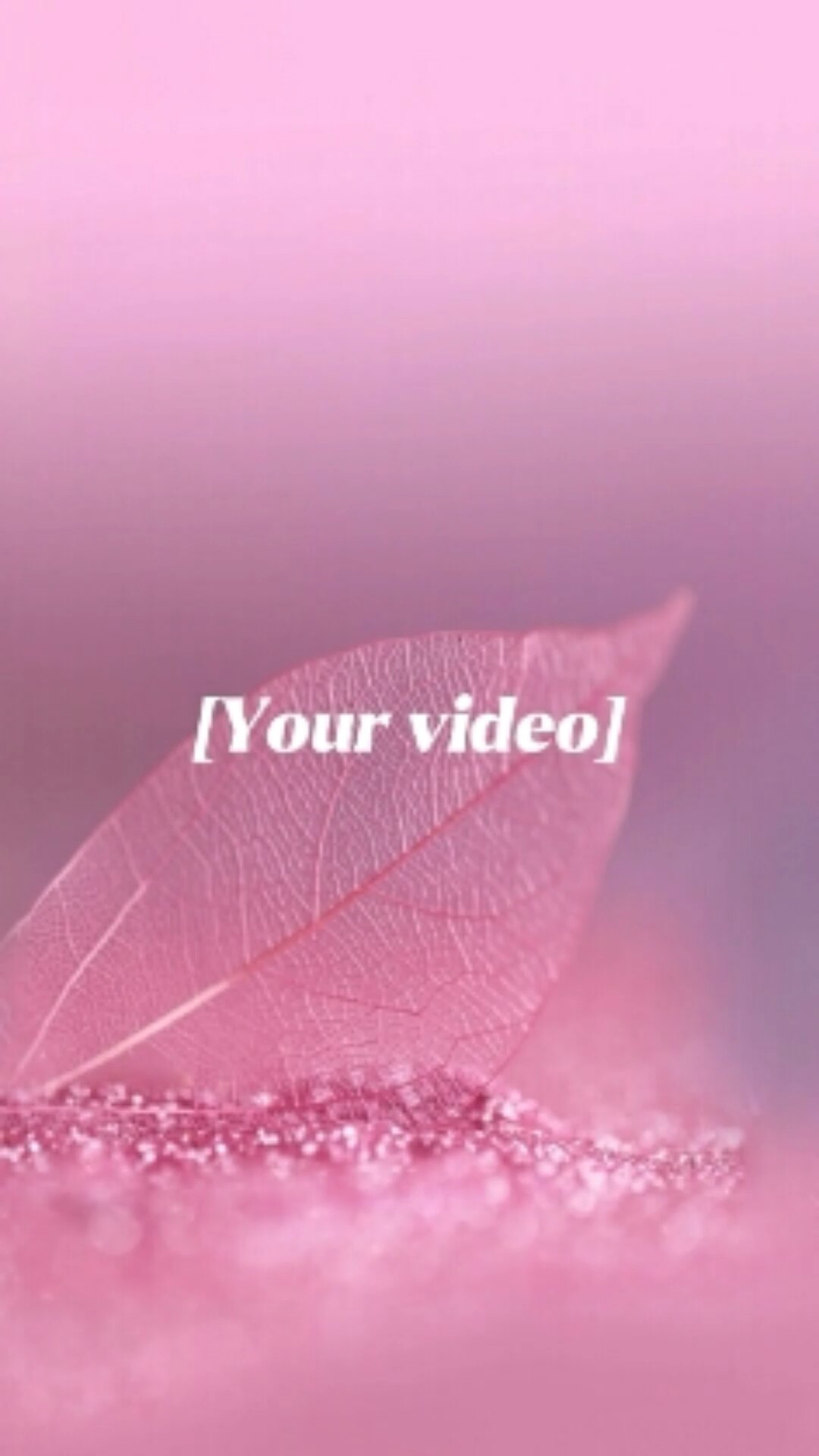 사랑