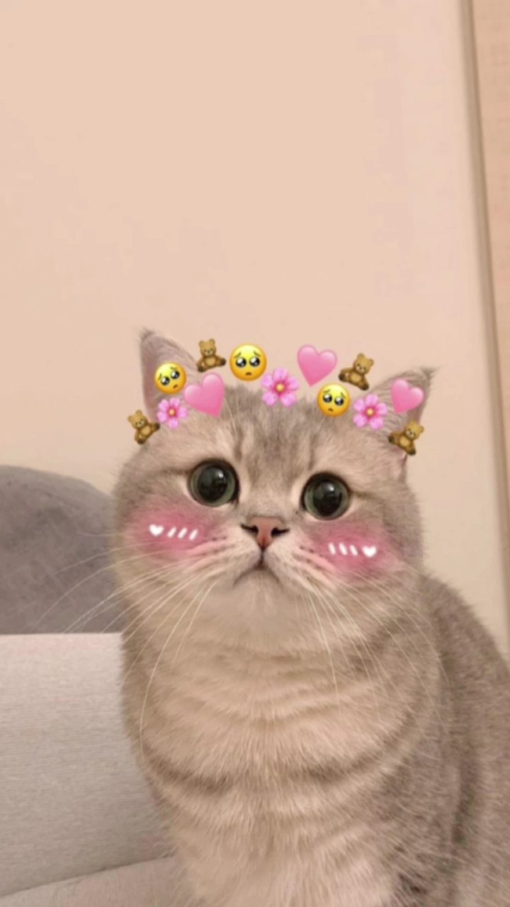 今之鸟