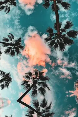 #MusicBeat
