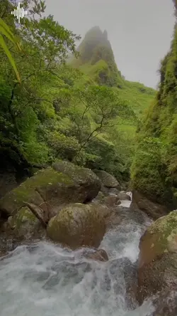 tanpa lirik sholawat