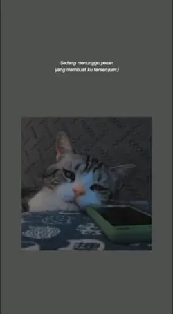 support 1K Followers