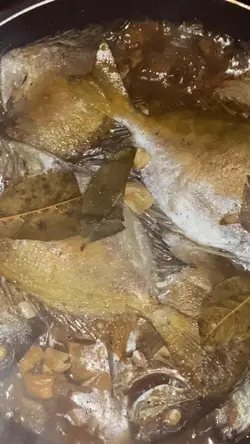 Adobong Paksiw 