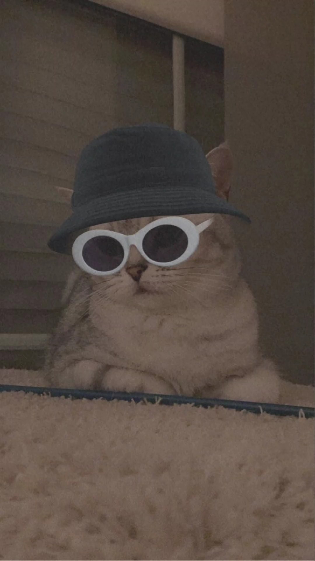 selanjutnya??