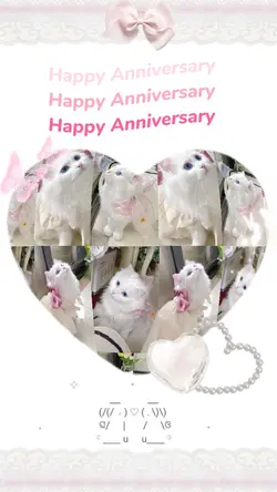 Happy Anniversary 💐✨