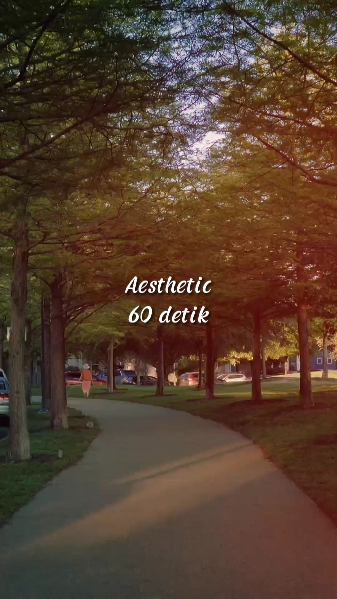 Aesthetic 60 detik