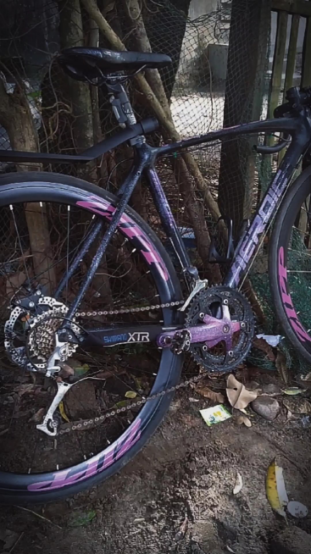 Para Ciclista