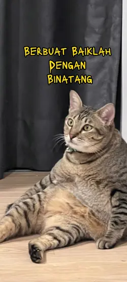 Baik dengan binatang