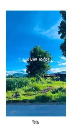 #Vlog #เนื้อเพลง