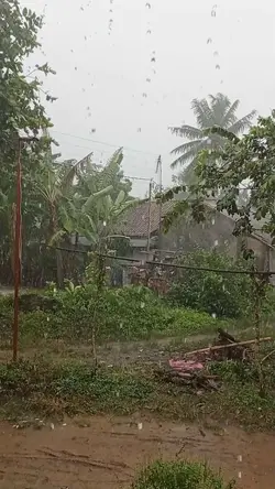 yg kamu cari