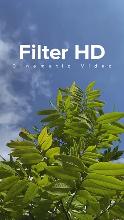 Cinematic Filter HD