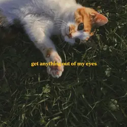 cavetown