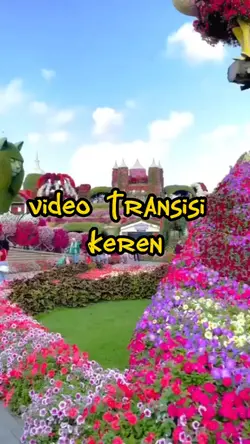 transisi video