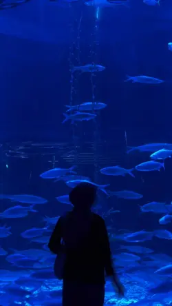 Jakarta Aquarium