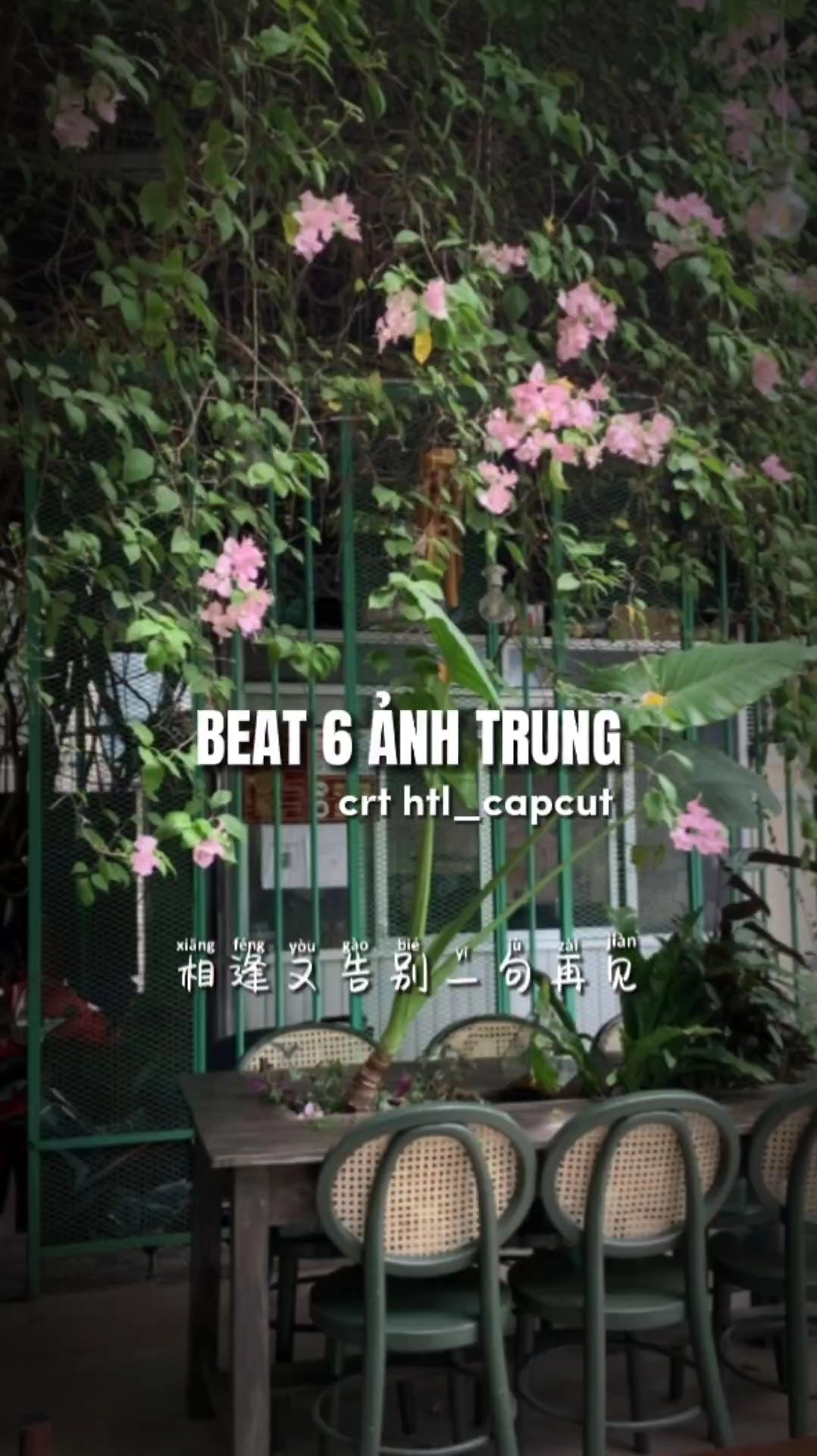 M u 6 nh nh c trung