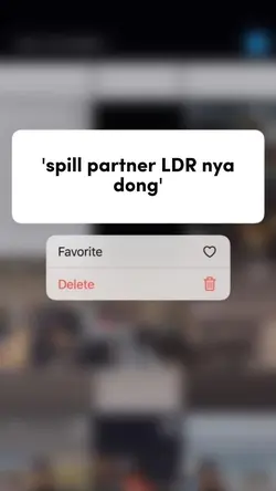 spill partner LDRnya